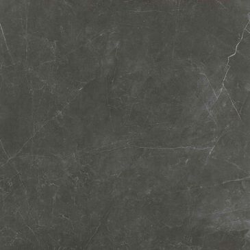 Emser Sterlina II Asphalt 24" x 24" Matte Porcelain Tile, , large