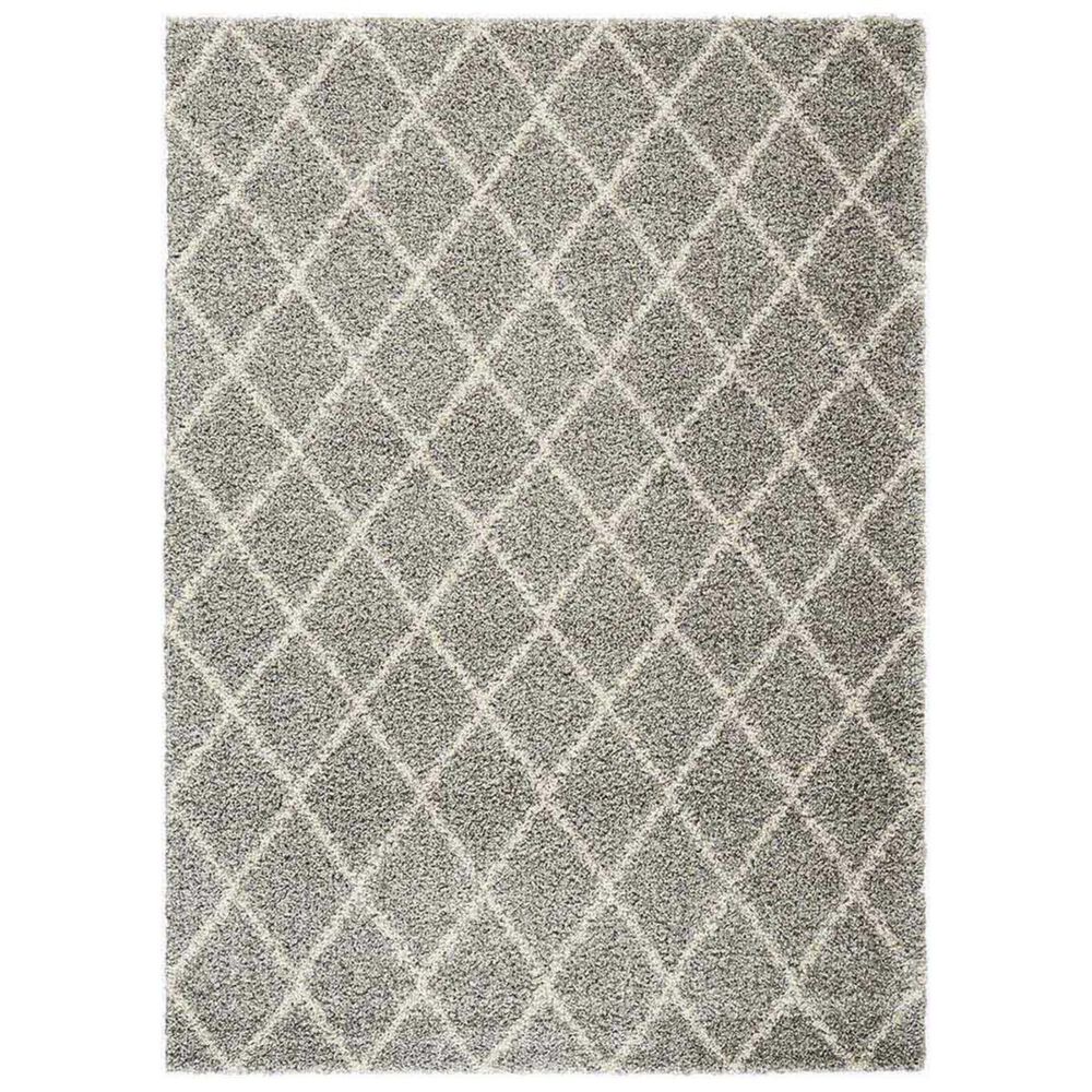 Nourison Brisbane BRI08 5" x 7" Ash Area Rug, , large