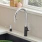 Blanco Urbena 1.5 GPM Pull-Down Kitchen Faucet in Chrome and Anthracite, , large