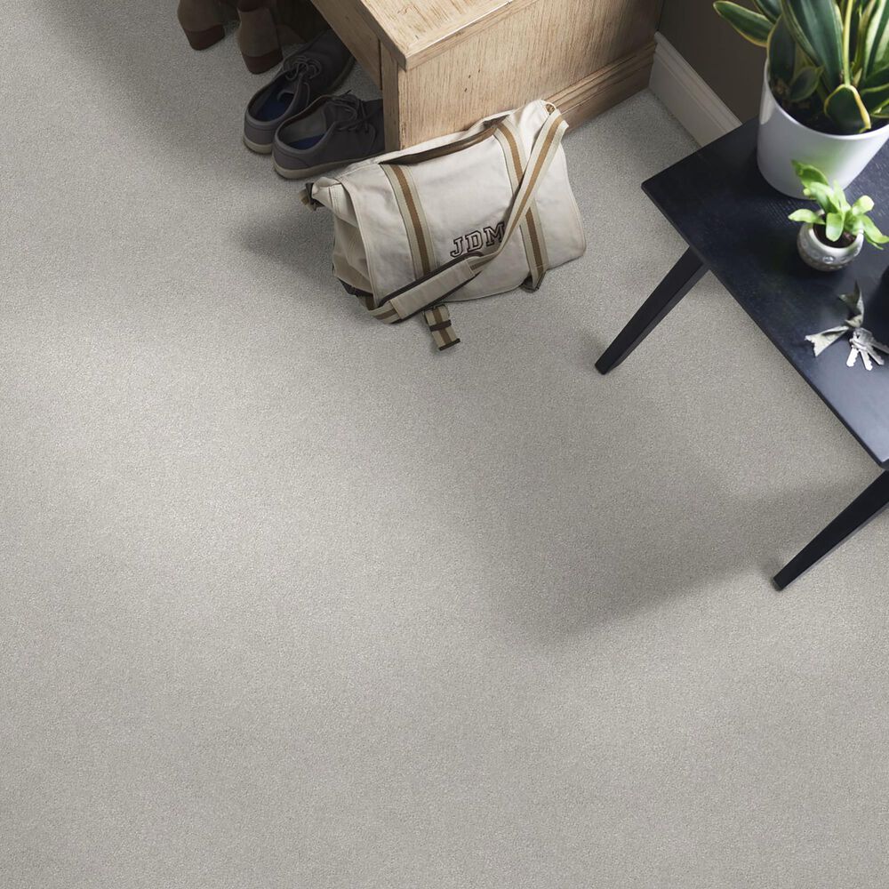 Shaw Simply the Best Attainable Carpet in Platinum, , large