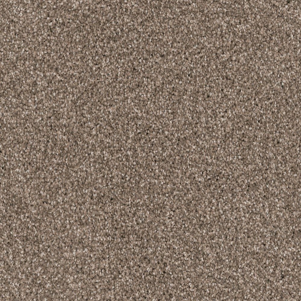Dixie Home Bella Carpet in Pinscher, , large