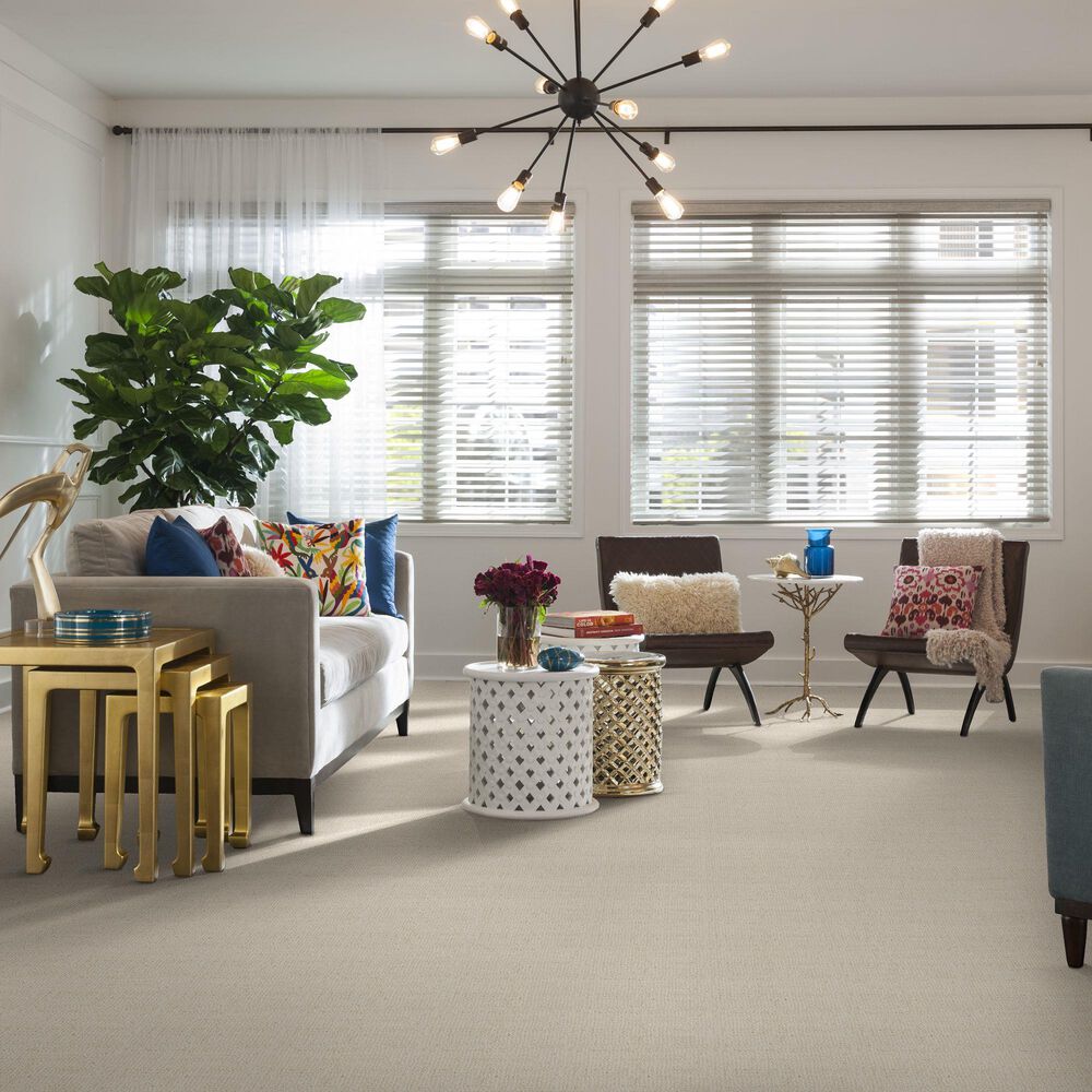Anderson Tuftex Loredo Carpet in Haven, , large