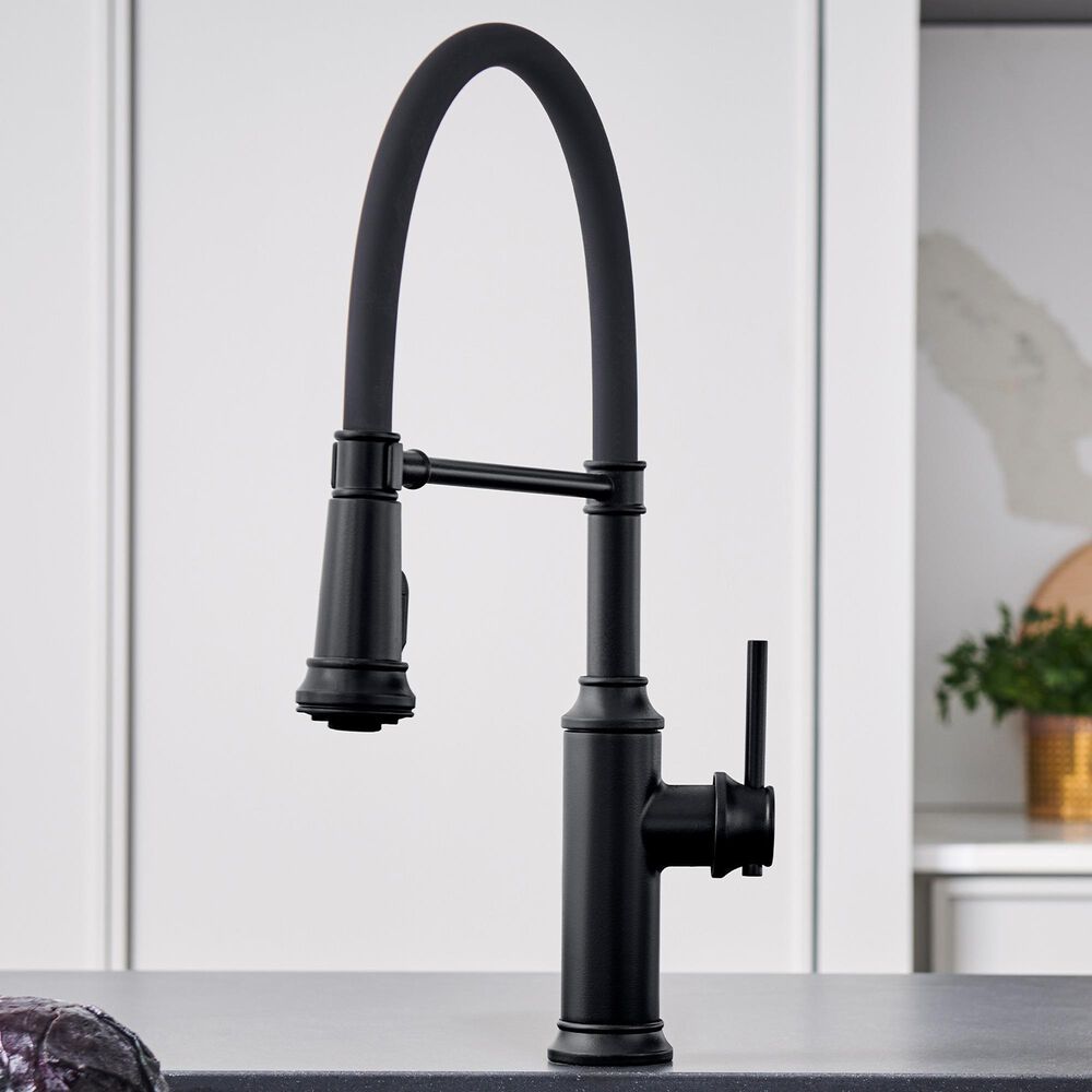 Blanco Empressa Semi Pro Kitchen Faucet 1.5 GPM in Matte Black, , large