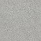 Dixie Home Big Splash Carpet in Driftwood, , large