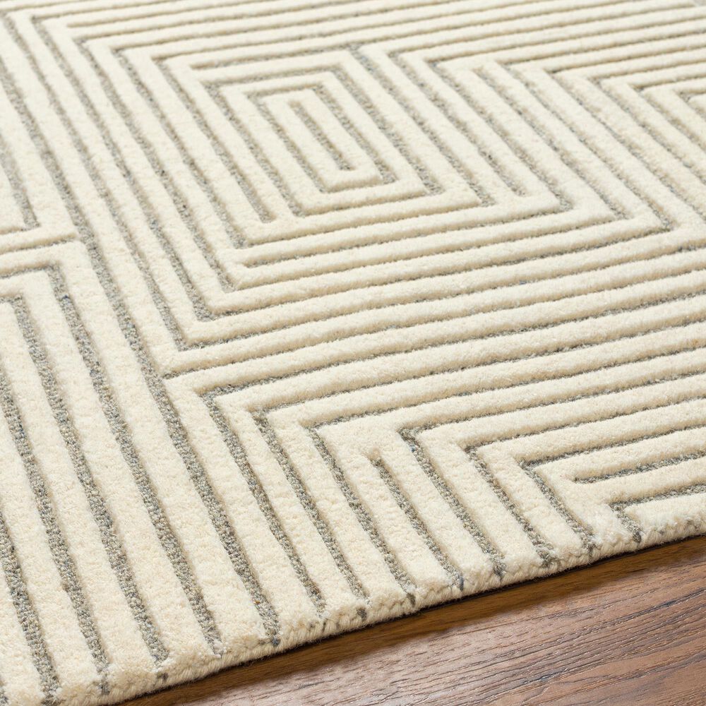 Surya Brook 2&#39; x 3&#39; Beige and Medium Gray Area Rug, , large