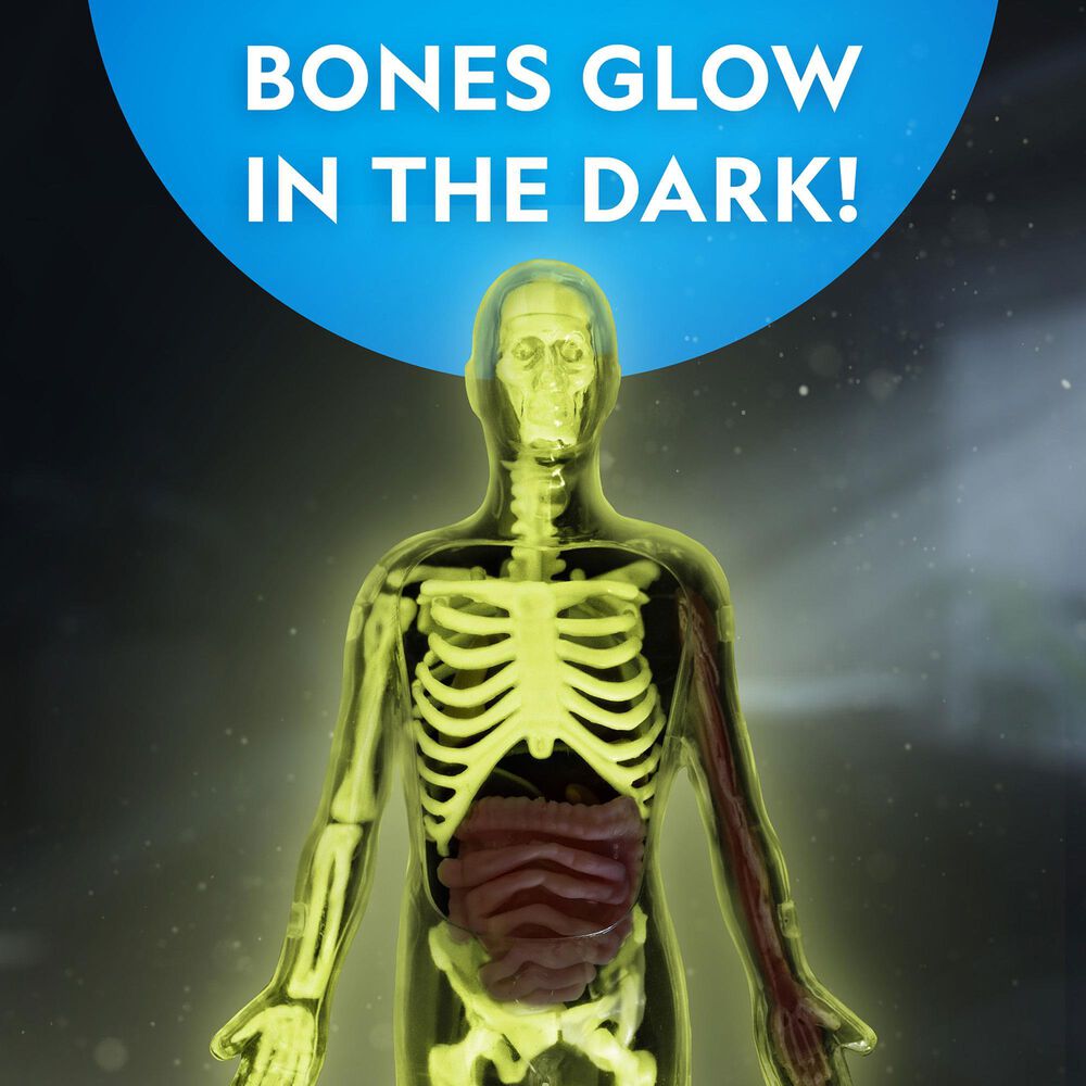 National Geographic Glow-In-The-Dark Human Body Interactive Anatomy Toys, , large