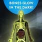 National Geographic Glow-In-The-Dark Human Body Interactive Anatomy Toys, , large