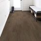 Shaw Endura Plus Casual Comfort 7" x 48" Luxury Vinyl Plank, , large
