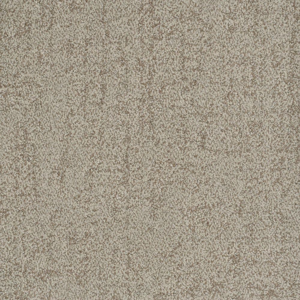 Dixie Home Genuine Carpet in Real, , large