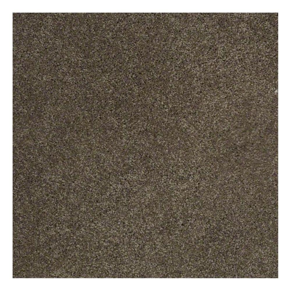 Shaw Phenomenal Carpet in Townhouse, , large