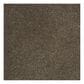 Shaw Phenomenal Carpet in Townhouse, , large