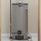 GE Appliances RealMAX Platinum 40-Gallon Short Liquid Propane Atmospheric Water Heater in Gray, , large