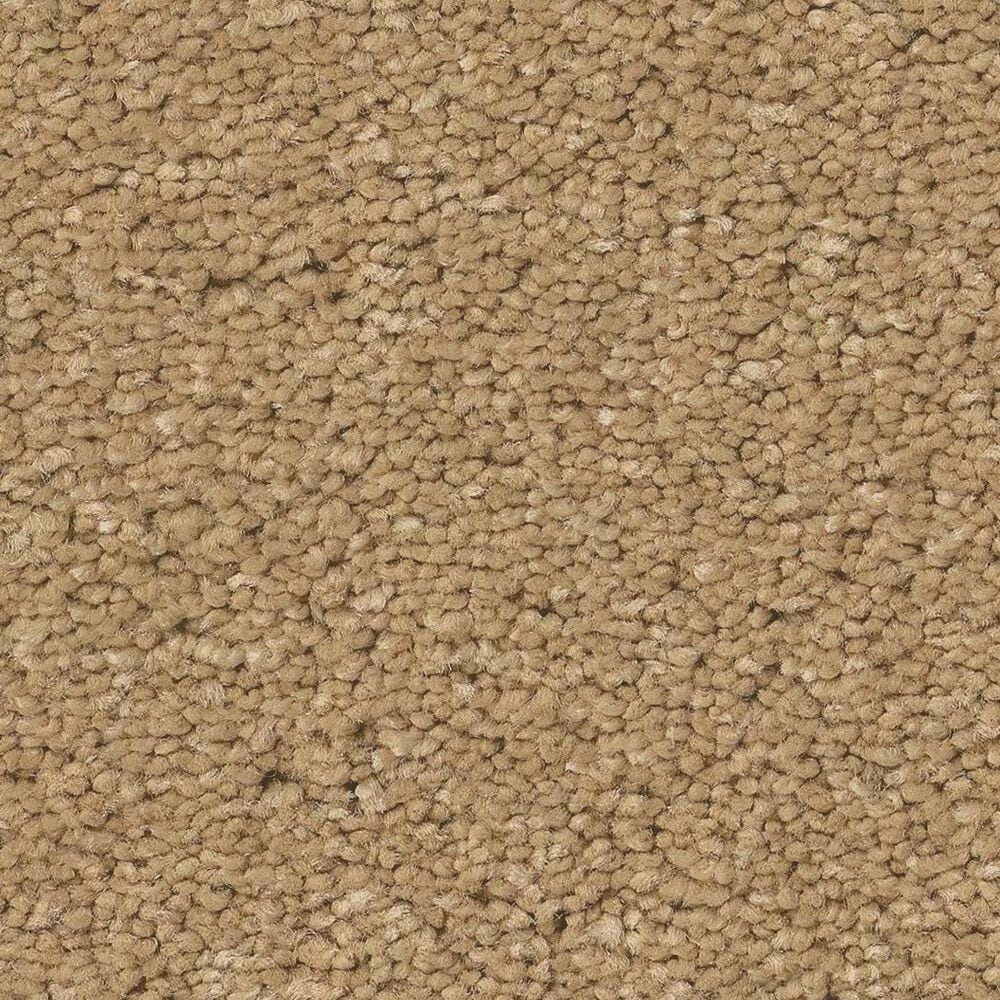 Anderson Tuftex Elegant Beauty Carpet in Winter Wheat, , large