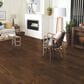 Robbins Hydroguard Craft Brown Oak Hardwood, , large
