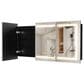 HOMLUX 48" x 32" Bathroom Medicine Cabinet with Mirror in Silver, , large