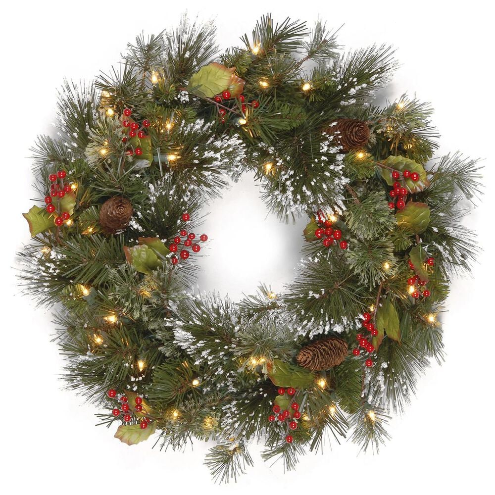 National Tree 24" Wintry Pine Wreath with Battery Operated Warm White LED Lights, , large