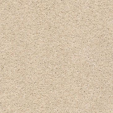 Anderson Tuftex Acadia Park Carpet in Delicate, , large