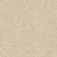 Anderson Tuftex Acadia Park Carpet in Delicate, , large