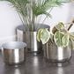 Maple and Jade Planter in Brushed Silver (Set of 3), , large