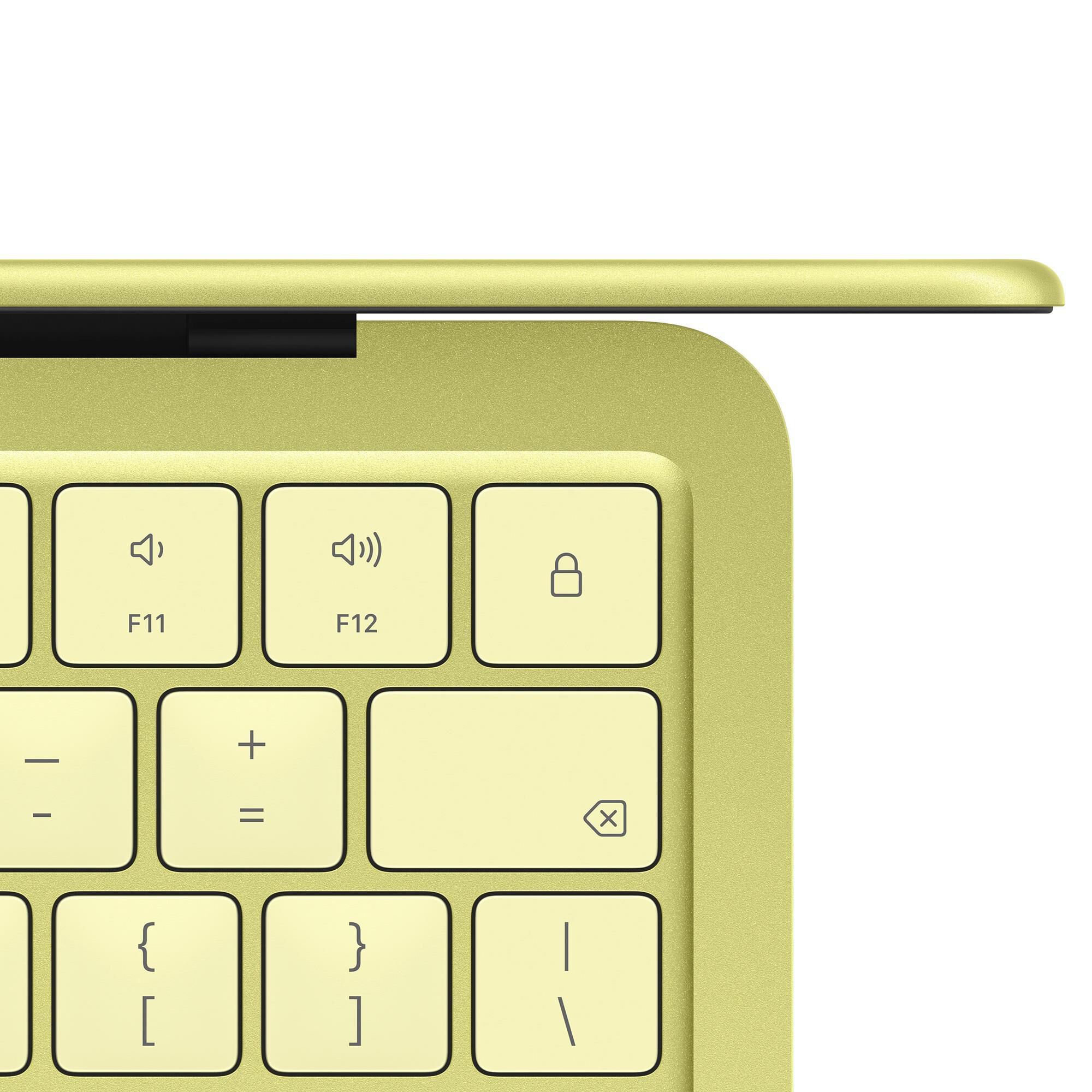 Apple 13