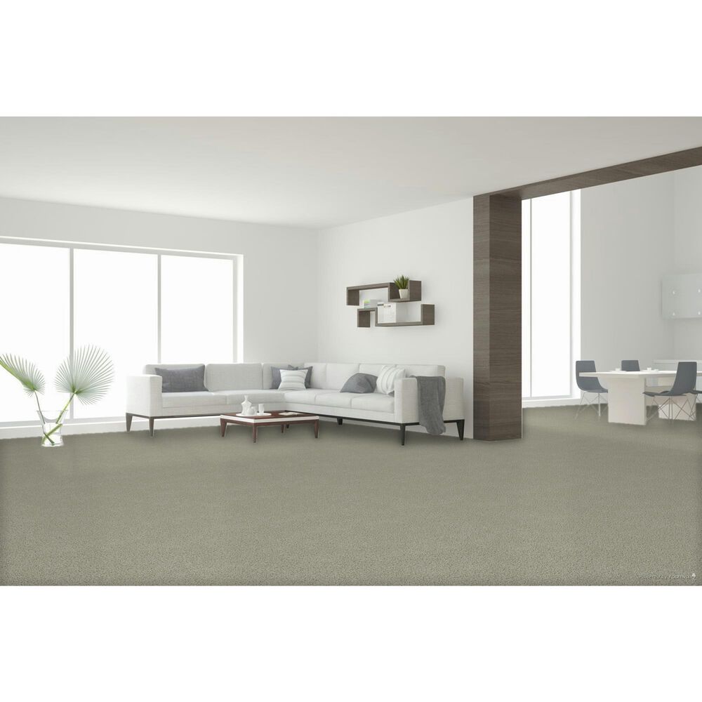 Dream Weaver Clearwater II Carpet in Brightwater, , large