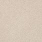 Philadelphia Basic Rules Carpet in Blush, , large