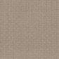 Shaw Bellera Soothing Surround Carpet in Beige Bisque, , large