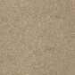 Mohawk Windsor Gardens I Carpet in Toasted Bagel, , large