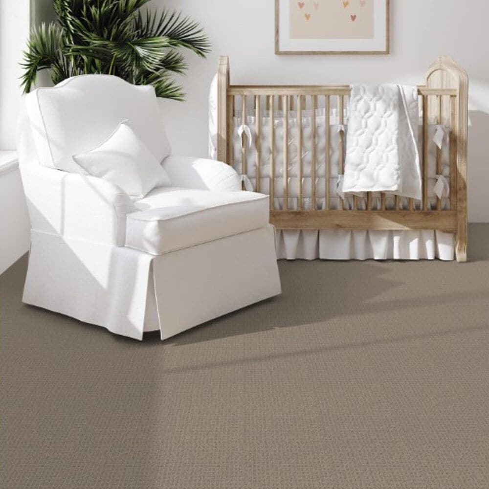 Dixie Home Galliard Carpet in Pavillion, , large