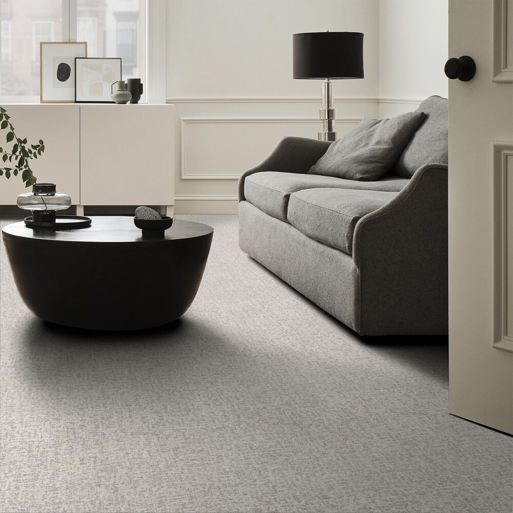 Shaw Home Within Carpet in Snowfall, , large