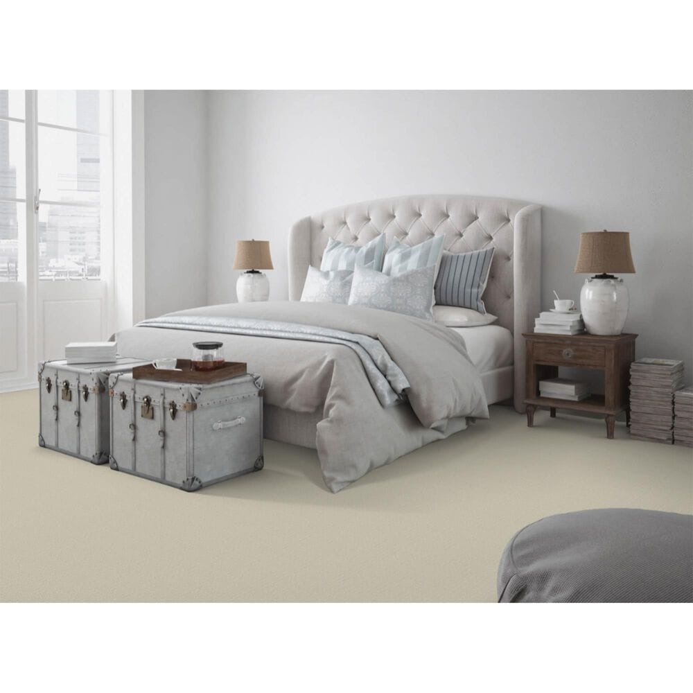 Dixie Home Sensible Carpet in Sunlit, , large