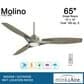 Minka-Aire Molino 65" Indoor/Outdoor Ceiling Fan with LED Light in Burnished Nickel, , large