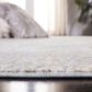 Safavieh Webster WBS332G 4" x 6" Grey and Beige Area Rug, , large