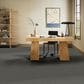 Anderson Tuftex Wyndham Estate Carpet in Rock Bottom, , large
