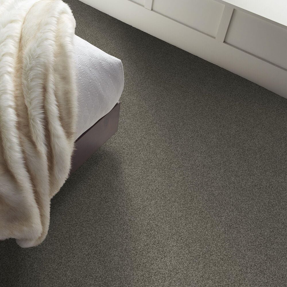 Shaw Yes You Can I Carpet in Rerooted Nature, , large