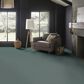 Anderson Tuftex Wyndham Estate Carpet in Splashy, , large