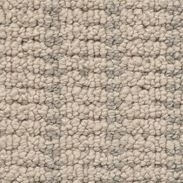 Anderson Tuftex Laken Carpet in Driftwood, , large