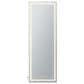 Impressions Vanity Stage Lite Rectanglar Full Length Vanity Mirror in Silver, , large