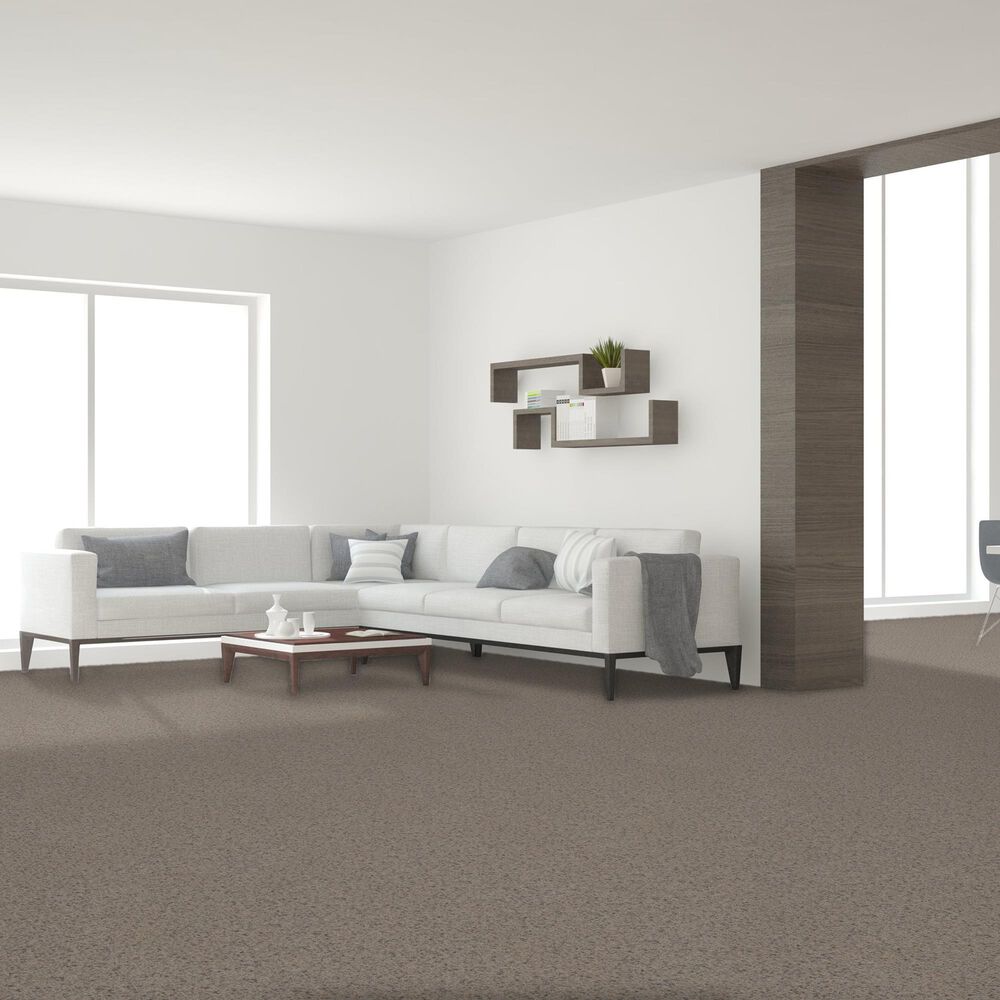 Dream Weaver Serene II Carpet in Cottondale, , large