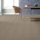Anderson Tuftex Luna Carpet in Adobe Beige, , large