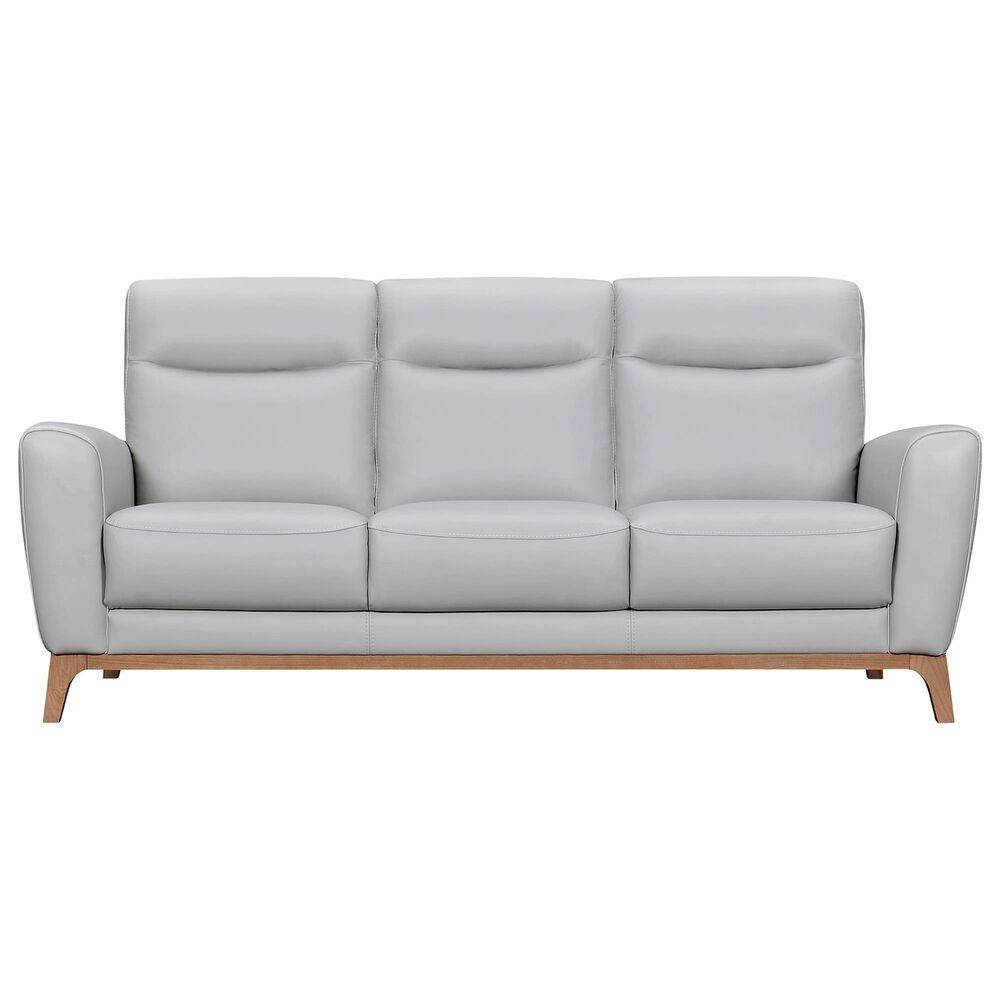Blue River Greyson Stationary Sofa in Dove Gray, , large