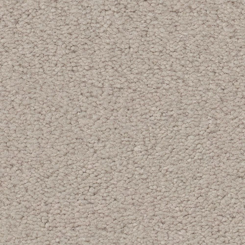 Anderson Tuftex Finery Carpet in First Frost, , large