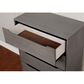 Furniture of America Lennart 4-Drawer Chest in Gray, , large