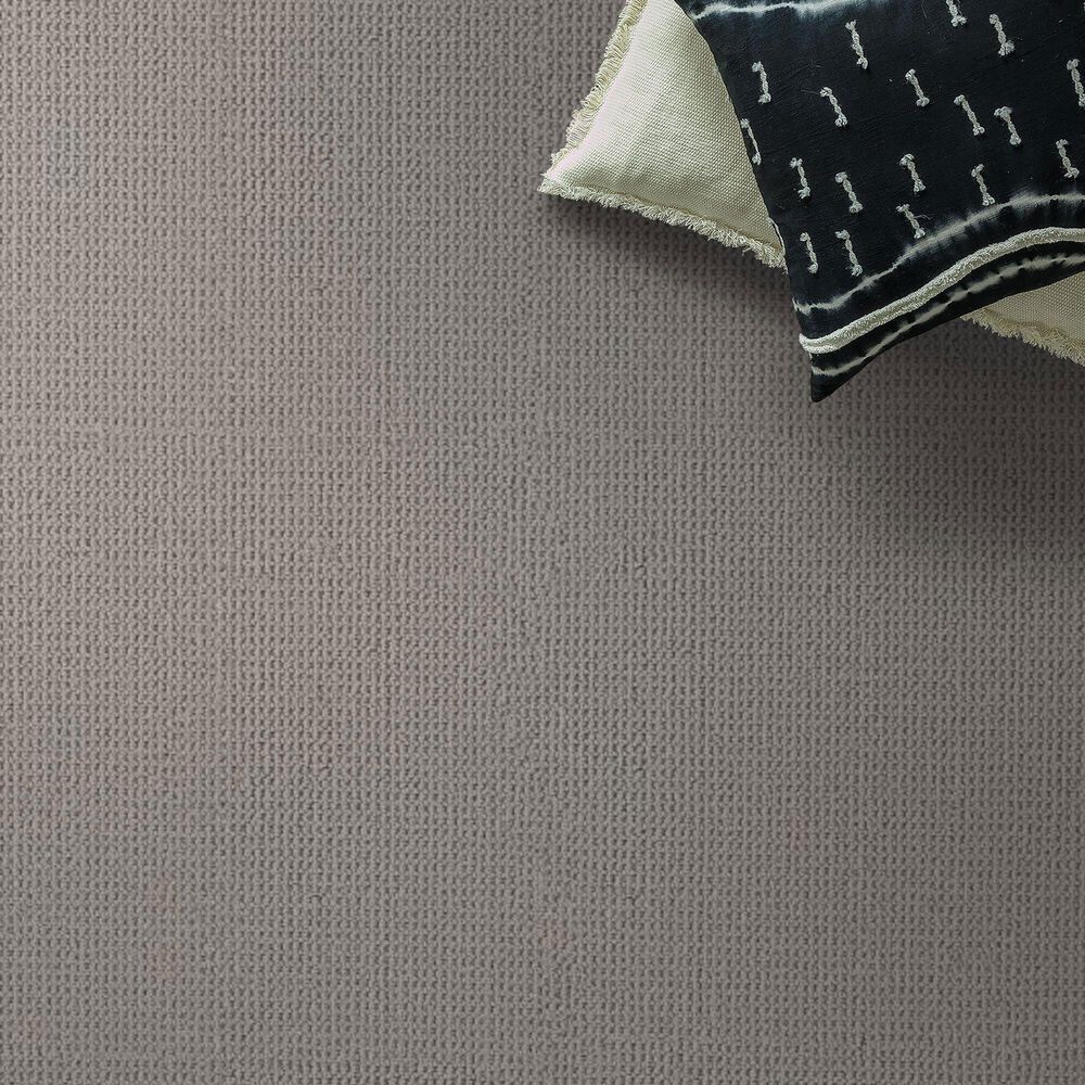 Anderson Tuftex Arden Park Carpet in Metalwork, , large