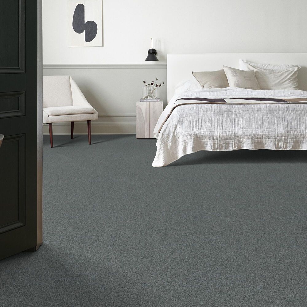 Anderson Tuftex Terra Nova Carpet in Norwegian, , large