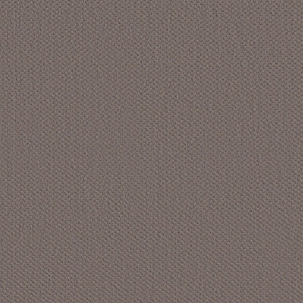 Shaw Austin Park Carpet in Rustic Vibe, , large