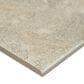 MS International Legend Grey 12" x 24" Porcelain Tile, , large