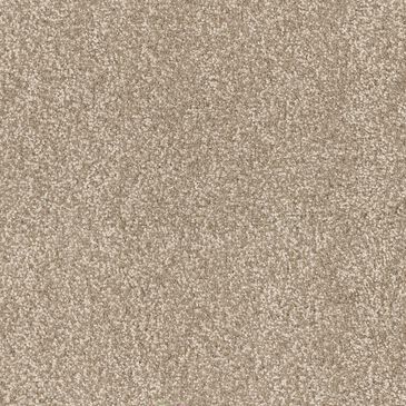 Dixie Home Perfect Summer Carpet in Bungalow, , large