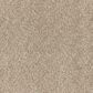 Dixie Home Perfect Summer Carpet in Bungalow, , large