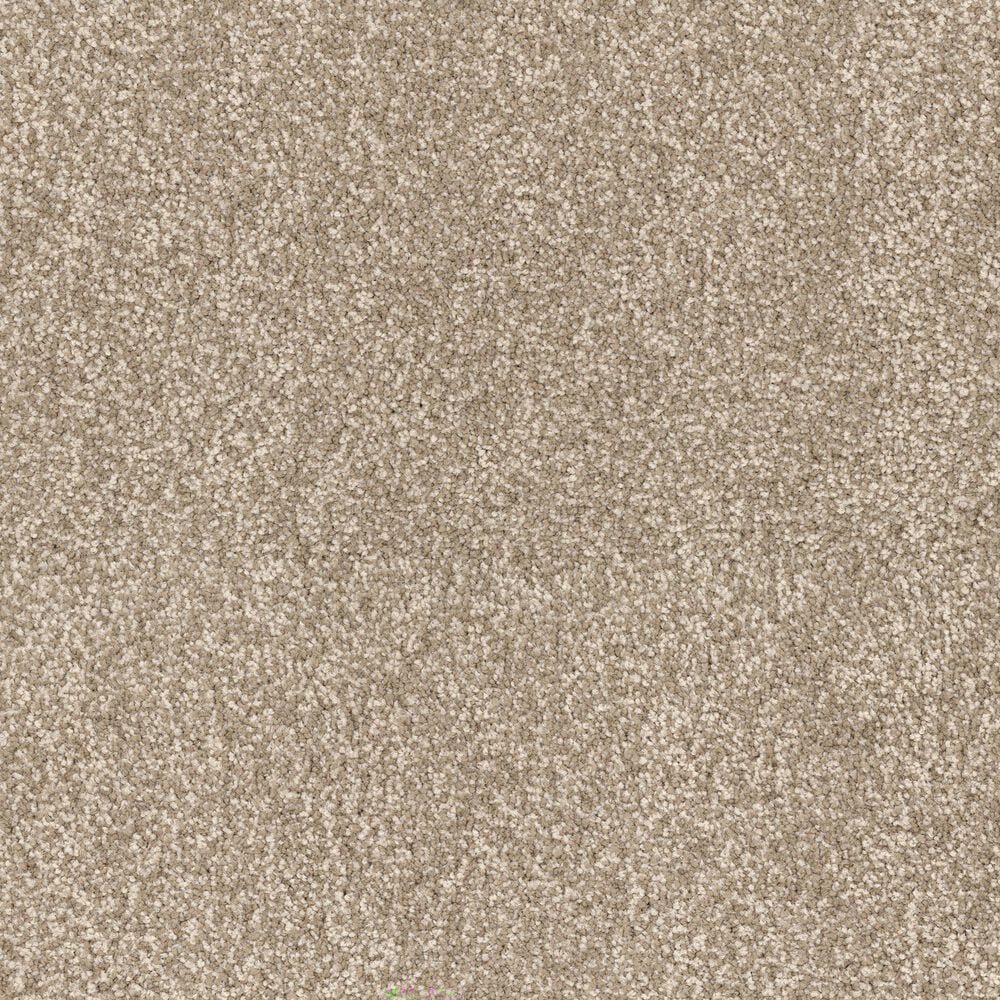 Dixie Home Perfect Summer Carpet in Bungalow, , large